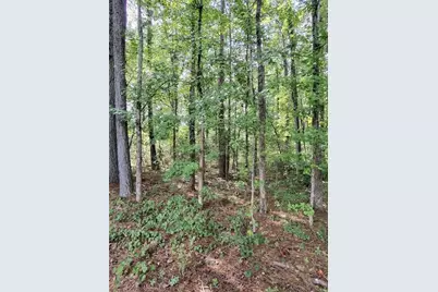 0 Post Road, Winston, GA 30187 - Photo 4