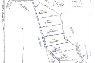 000 Tanners Bridge Circle, Bethlehem, GA 30620 - Photo 1