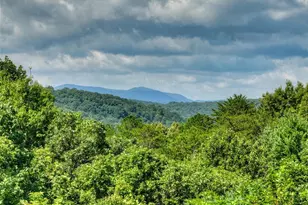 85 Squirrel Chase, Morganton, GA 30560 - Photo 6