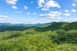 56 Robin Lake Dr, Ellijay, GA 30540 - Photo 52