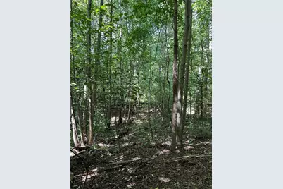 305 Wildcat Road, Buchanan, GA 30113 - Photo 6