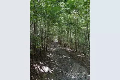 305 Wildcat Road, Buchanan, GA 30113 - Photo 2