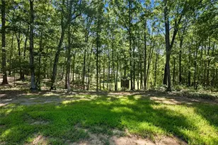 221 Brookhollow Rd, Ball Ground, GA 30107 - Photo 90