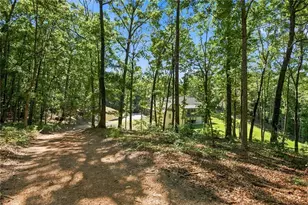 221 Brookhollow Rd, Ball Ground, GA 30107 - Photo 92
