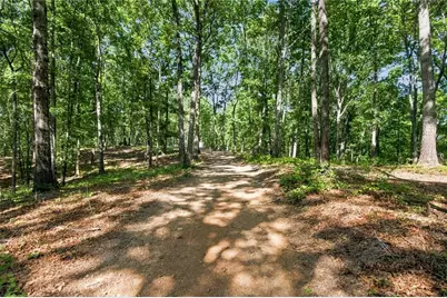 221 Brookhollow Road, Ball Ground, GA 30107 - Photo 88