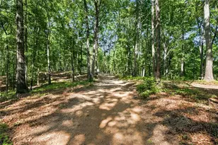 221 Brookhollow Rd, Ball Ground, GA 30107 - Photo 88