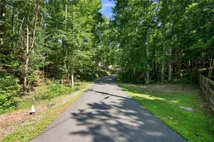 221 Brookhollow Rd, Ball Ground, GA 30107 - Photo 94