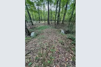 184 McBride Road, Fayetteville, GA 30215 - Photo 2