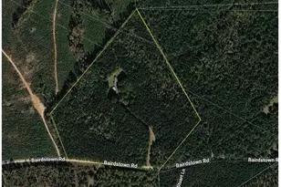 1371 Bairdstown Rd, Union Point, GA 30669 - Photo 44