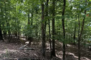 117 Tulip Tree Ct, Waleska, GA 30183 - Photo 1