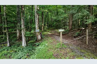 681 Skyview Drive, Ellijay, GA 30536 - Photo 36