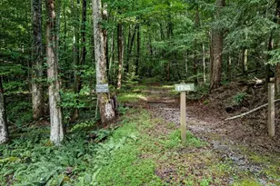 681 Skyview Dr, Ellijay, GA 30536 - Photo 36