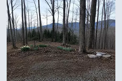 681 Skyview Drive, Ellijay, GA 30536 - Photo 2