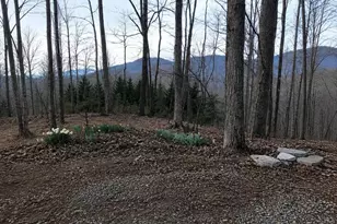 681 Skyview Dr, Ellijay, GA 30536 - Photo 2