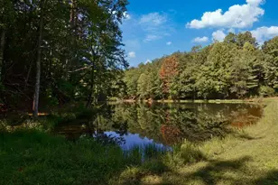 681 Skyview Dr, Ellijay, GA 30536 - Photo 42