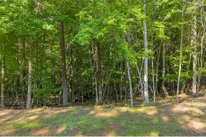 0 Calhoun Road, Dahlonega, GA 30533 - Photo 6