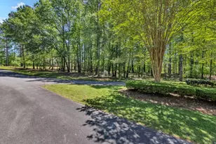 1010 Troon Ct, Greensboro, GA 30642 - Photo 12