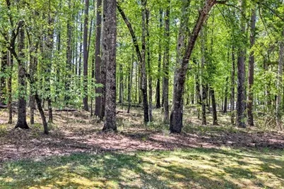 1010 Troon Court, Greensboro, GA 30642 - Photo 34