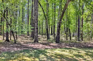 1010 Troon Ct, Greensboro, GA 30642 - Photo 34