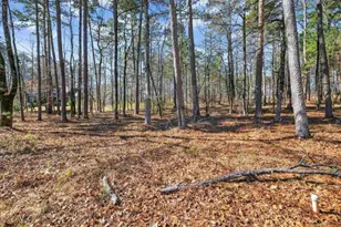 1841 Osprey Poynte, Greensboro, GA 30642 - Photo 34