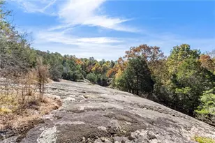 7790 Atlanta Newnan Rd, Chattahoochee Hills, GA 30268 - Photo 16