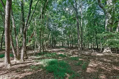 3440 Maynard Circle, Gainesville, GA 30506 - Photo 60