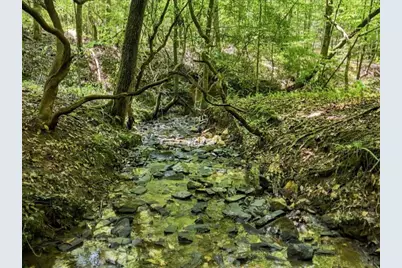 590 Old Shyers Ford Road, Talking Rock, GA 30175 - Photo 44