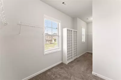 7129 Birch View Court, Flowery Branch, GA 30542 - Photo 40