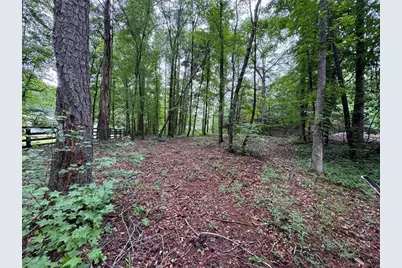 219 Lynn Road, Bethlehem, GA 30620 - Photo 4