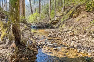 246 Woodward Wy, Talking Rock, GA 30175 - Photo 4