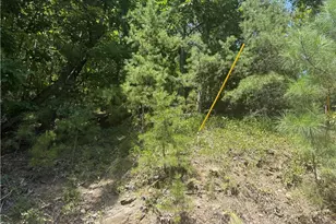 347 Meteor Ct NE, Ranger, GA 30734 - Photo 1