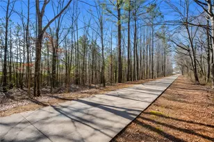 90 Trailview Ln, Hiram, GA 30141 - Photo 38