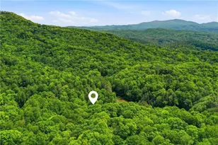 1564 Big Ben Rd, Ellijay, GA 30540 - Photo 2