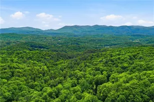 1564 Big Ben Rd, Ellijay, GA 30540 - Photo 44