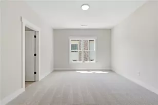 323 Reese Wy, Ball Ground, GA 30107 - Photo 46