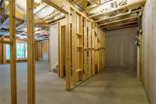 323 Reese Wy, Ball Ground, GA 30107 - Photo 20