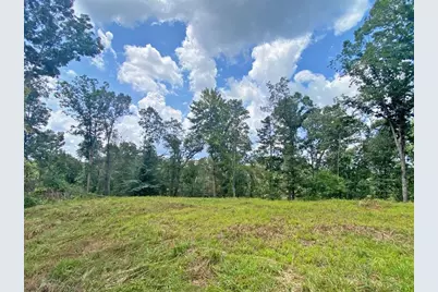 3.3Ac Trillium Trail, Dahlonega, GA 30533 - Photo 6