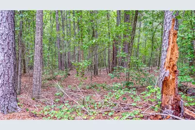 130 Levi Trail, Nicholson, GA 30565 - Photo 10