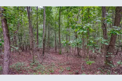 140 Levi Trail, Nicholson, GA 30565 - Photo 8