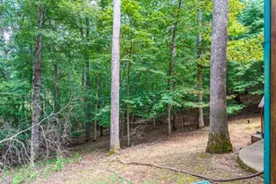 114 Rockingham Wy, Ellijay, GA 30540 - Photo 42