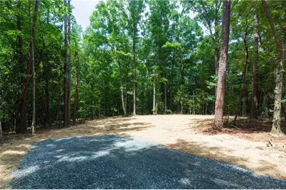 0 Roosevelt Highway, Warm Springs, GA 31830 - Photo 4