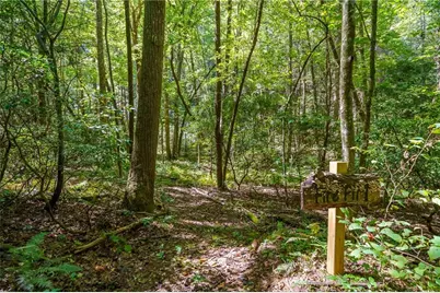 20 Bear Trail, Ellijay, GA 30540 - Photo 84