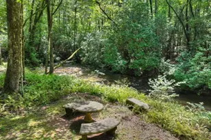 20 Bear Trail, Ellijay, GA 30540 - Photo 42