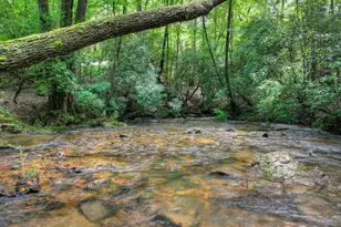 20 Bear Trail, Ellijay, GA 30540 - Photo 4