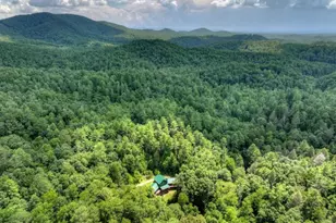 20 Bear Trail, Ellijay, GA 30540 - Photo 92