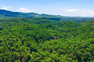 464 Whispering Pne Ln, Cherrylog, GA 30522 - Photo 46