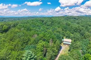 495 Dockery Ln, Mineral Bluff, GA 30559 - Photo 12