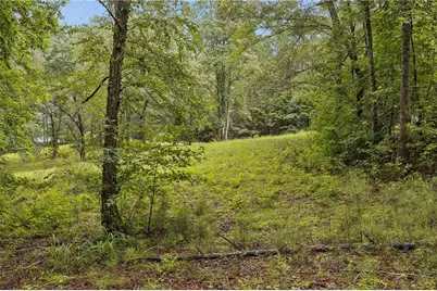 1736 Harmony Grove Church Road, Acworth, GA 30101 - Photo 22