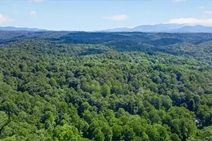 190 26th St, Ellijay, GA 30540 - Photo 30