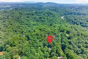 10 Esker Ct, Ellijay, GA 30540 - Photo 64